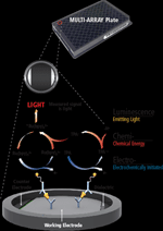 Bioanalysis with the MesoScale Discovery QuickPlex 